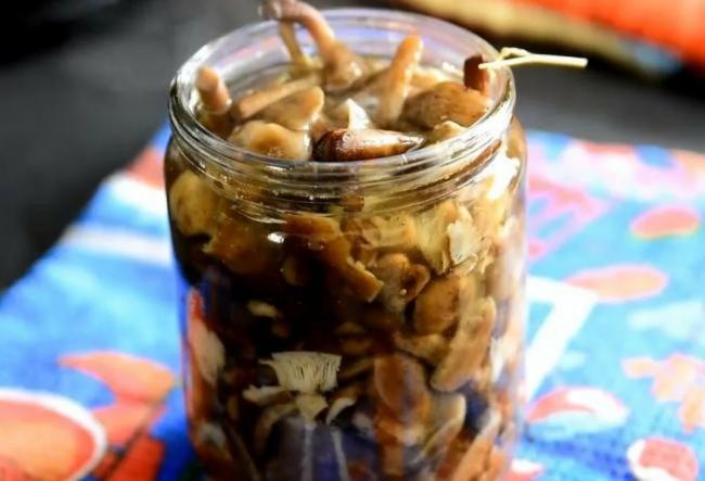 Как мариновать грибы на зиму в банках с уксусом