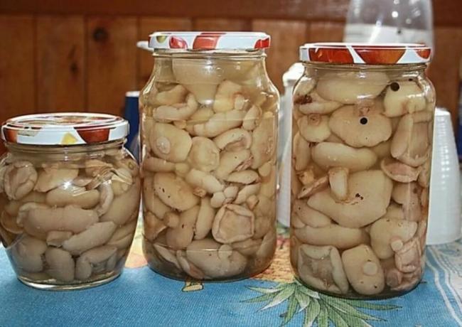 Как мариновать грибы на зиму в банках с уксусом