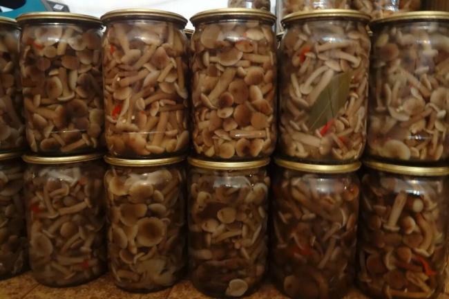 Как мариновать грибы на зиму в банках с уксусом