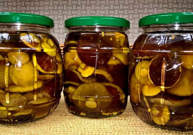 Что можно сделать с грибами моховиками