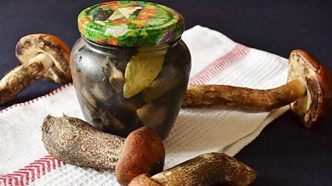 Как вкусно посолить подосиновики в домашних условиях