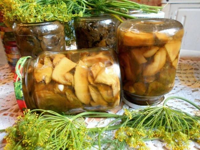 Как вкусно посолить подосиновики в домашних условиях