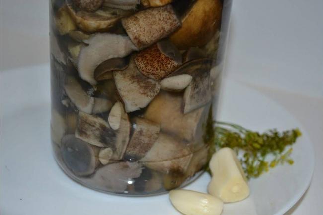 Как вкусно посолить подосиновики в домашних условиях