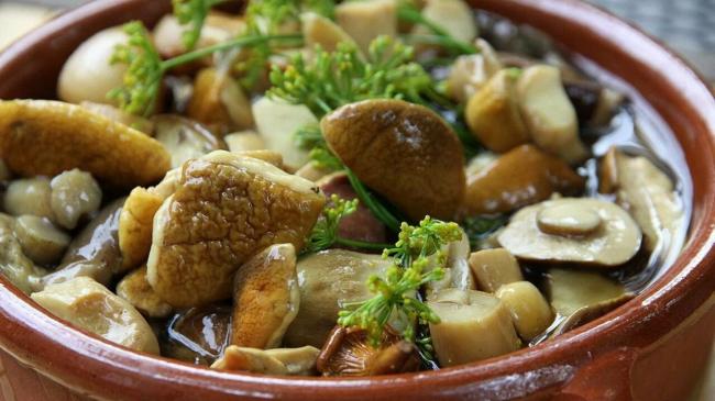 Как вкусно посолить подосиновики в домашних условиях