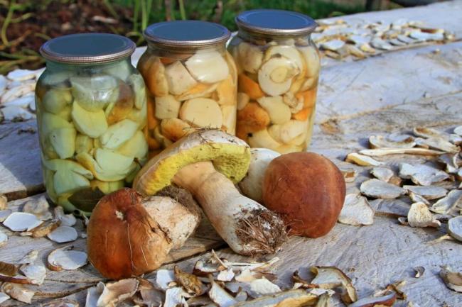 Как вкусно посолить подосиновики в домашних условиях