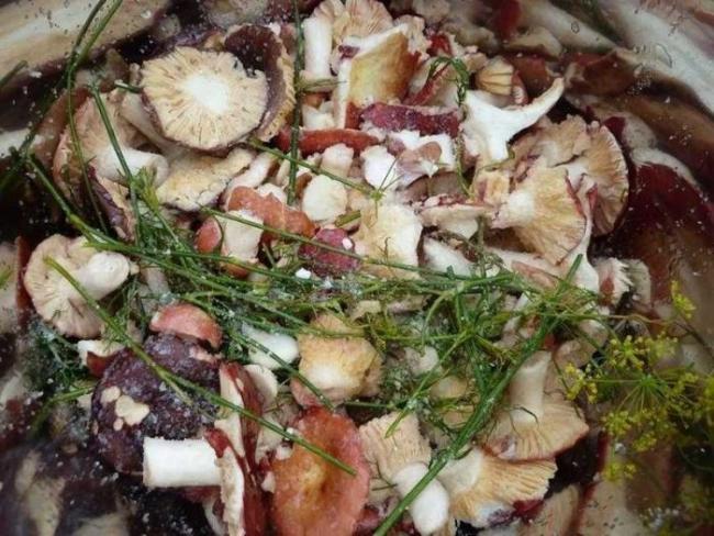 Холодное и горячее маринование расторопши в домашних условиях