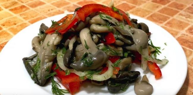 Как быстро и вкусно засолить вешенки в домашних условиях