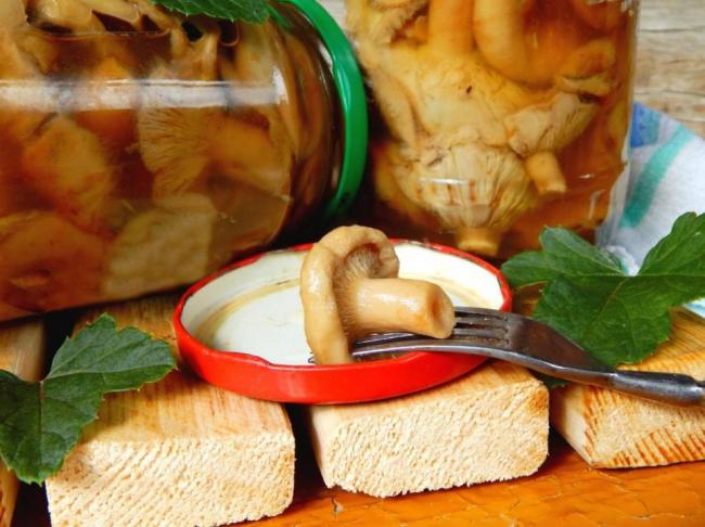 Маринование цветущих яблок на зиму рецепт с пошаговым фото - 1000.menu