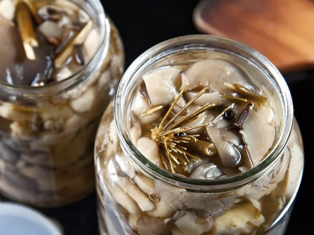 Как просто, быстро и вкусно засолить вешенки на зиму в банках?