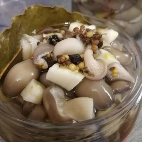 Как просто, быстро и вкусно замариновать вешенки на зиму в банках?