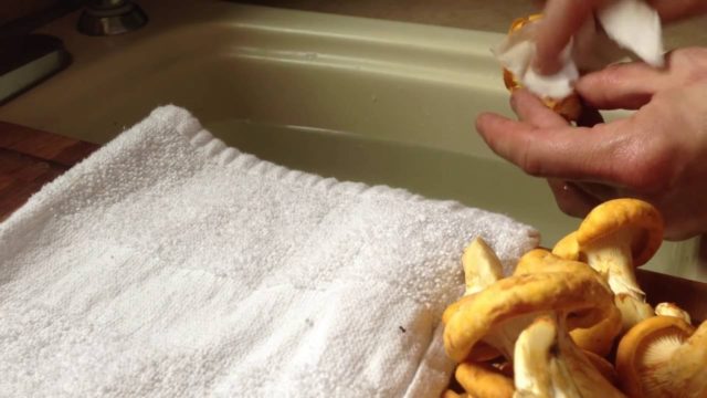 Как очистить лисички от песка