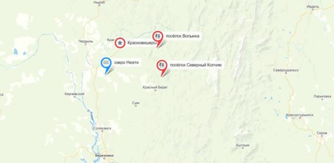 Грибы Пермского края