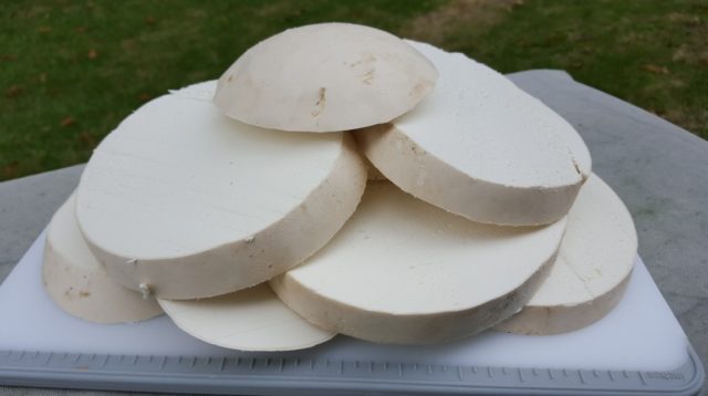 Гигантский гриб боровик (Calvatia gigantea): как выглядит, где и как растет, съедобный или нет, как приготовить, чем полезен?
