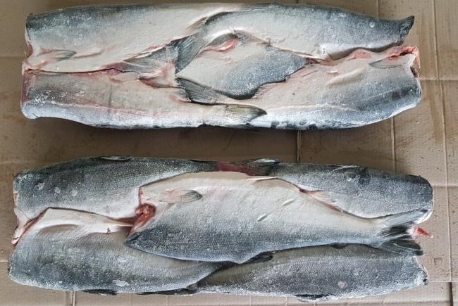 Как выглядит замороженная нерка  Замороженные тушки нерки