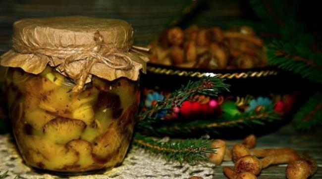 Жареные буковые грибы глубокой заморозки на зиму