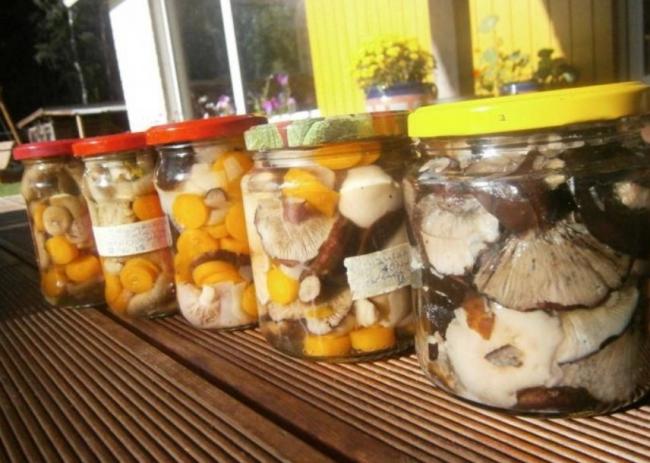 Продажа ледяных каштанов