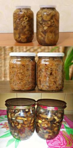 Как вкусно закрыть на зиму жареные опята